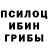 Псилоцибиновые грибы Psilocybe AvenkzZ GFX