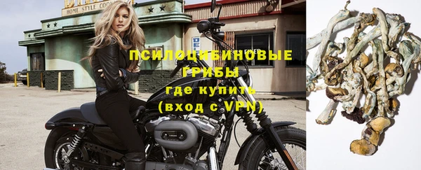 мескалин Гусев
