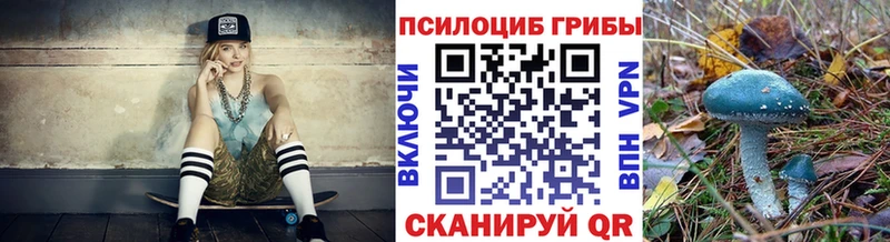 Галлюциногенные грибы Psilocybine cubensis  Купить закладки  Луза 